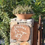 directions stables