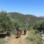 Horse riding in Crete. Fantastic trails and great horses.
