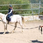 horse riding lesson child