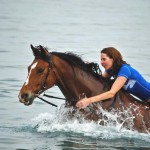 swimming with horses in Crete