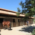 Quality stables in Greece