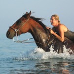 swimming with horses